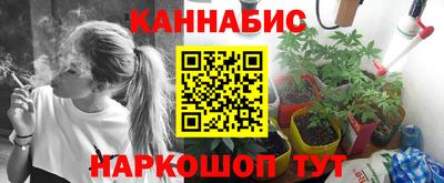 крисы Рязань