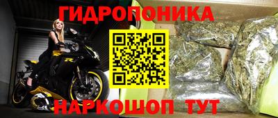 крисы Рязань