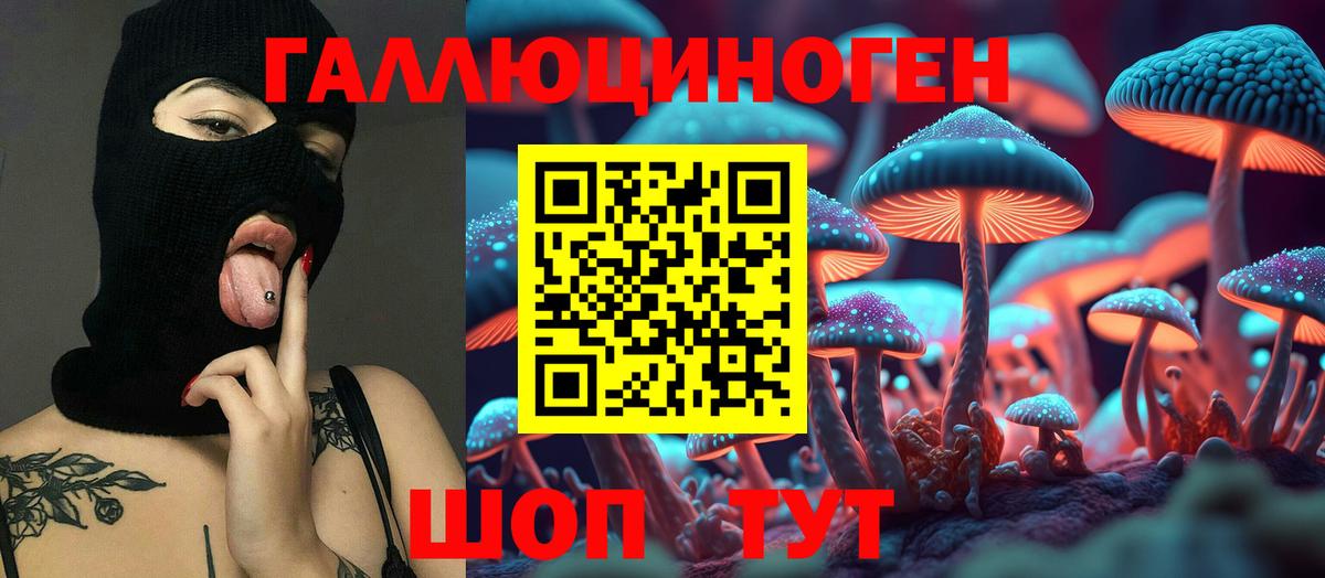 Рубцовск  Псилоцибиновые грибы Cubensis  Псилоцибиновые грибы Psilocybe  Вход с VPN 