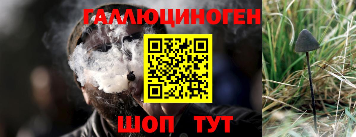 Псилоцибиновые грибы мухоморы Рубцовск